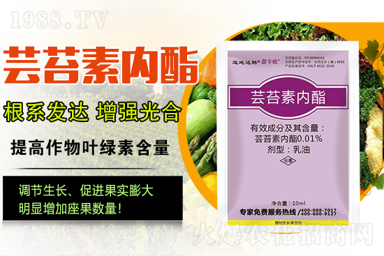 �|̦�؃�(n��i)����ɶ���Q��ֲ�����ˎ���|̦�؃�(n��i)����ô�x��