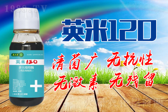 ��轰׷۲��İY����ʲô����轰׷۲����η�����