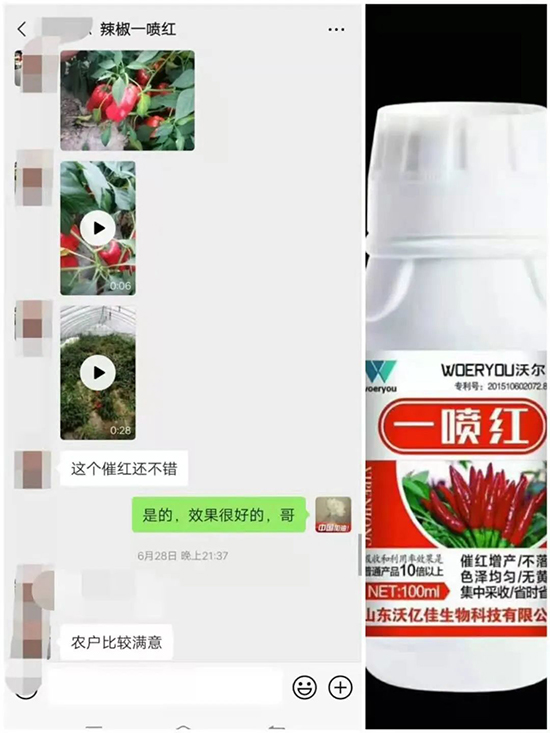 ���t�����95%���߼t�����~�����뷭�׷�����������һ���t��