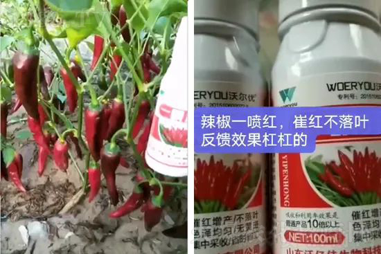 ���t�����95%���߼t�����~�����뷭�׷�����������һ���t��