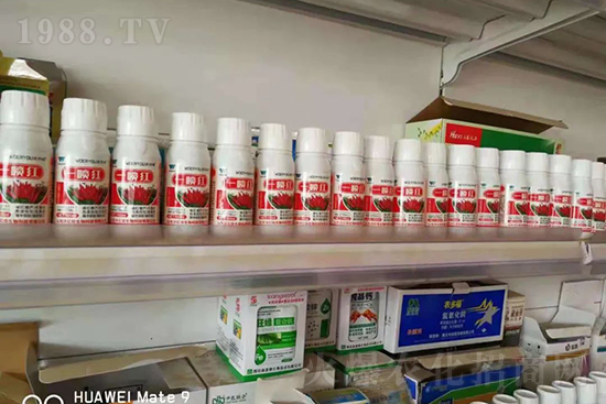 ���t�����95%���߼t�����~�����뷭�׷�����������һ���t��