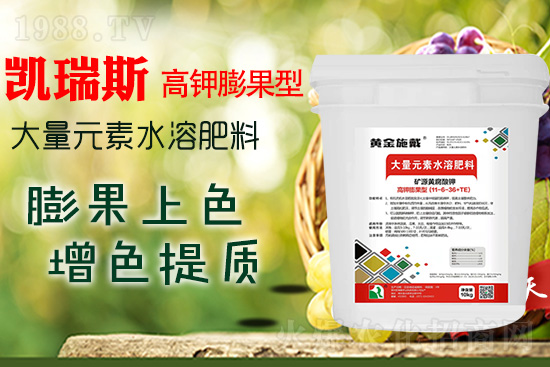     ���M(j��n)���������ɫ���@��(g��)�䷽��(zh��n)�]�e(cu��)���������|(zh��)���a(ch��n)��