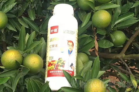 �t���ء�ֻ���D(zhu��n)ɫ�������D(zhu��n)ɫ�졢�����߼t���ó���