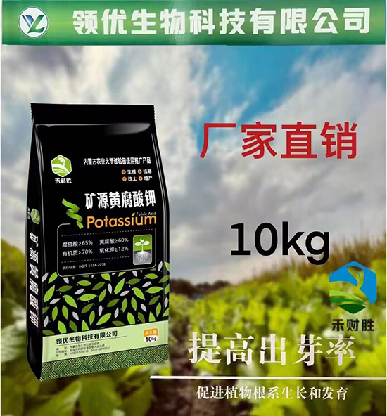 QQ�DƬ20230721172553