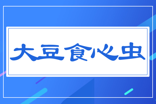 ��ʳ���x(ch��ng)