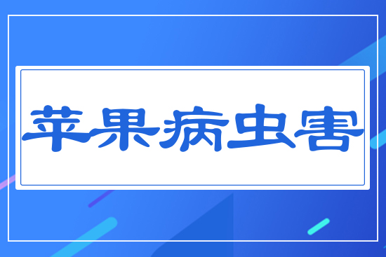 �O�����x��