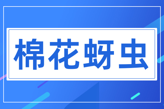 �޻����x(ch��ng)