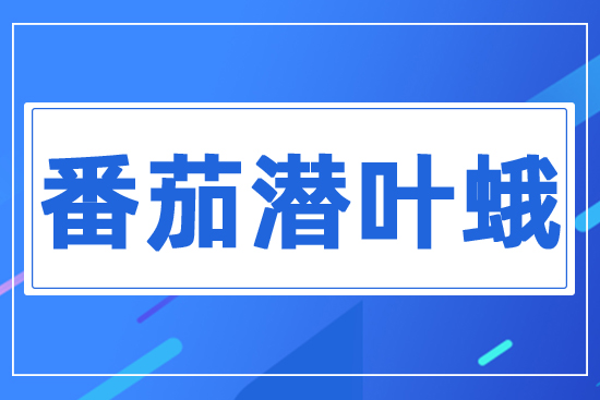 ���ѝ��~��