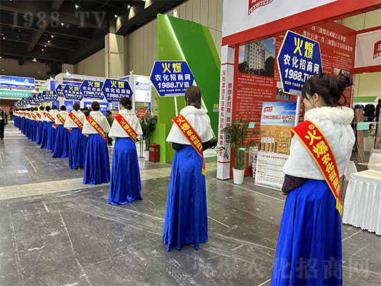 火爆網(wǎng)美女禮儀宣傳隊亮相2024中原農(nóng)資雙交會！