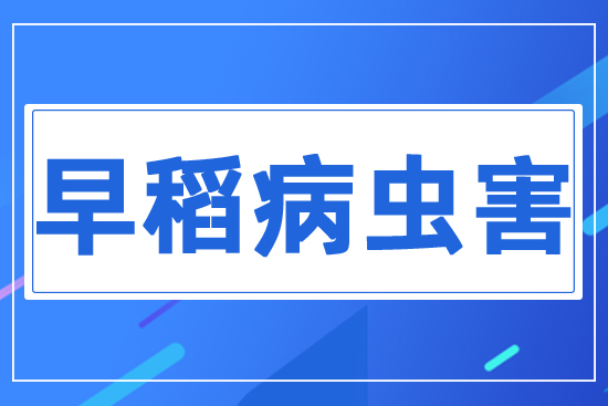 �絾���x��