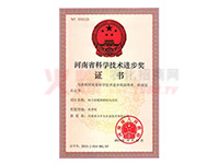 ����ʡ�ƌW���g�M�����C��