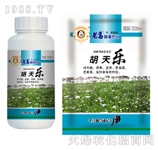 ���R����ˎ��-���옷-�����r(n��ng)�I(y��)