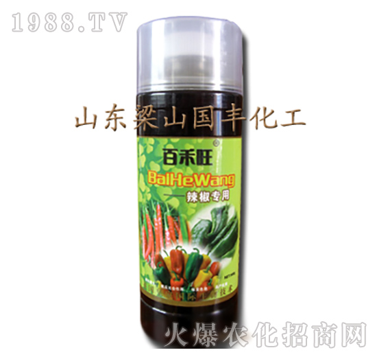 辣椒專用葉面肥-梁山國(guó)豐