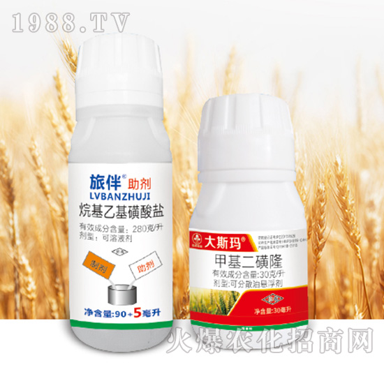 ��˹��-�к����_(d��)