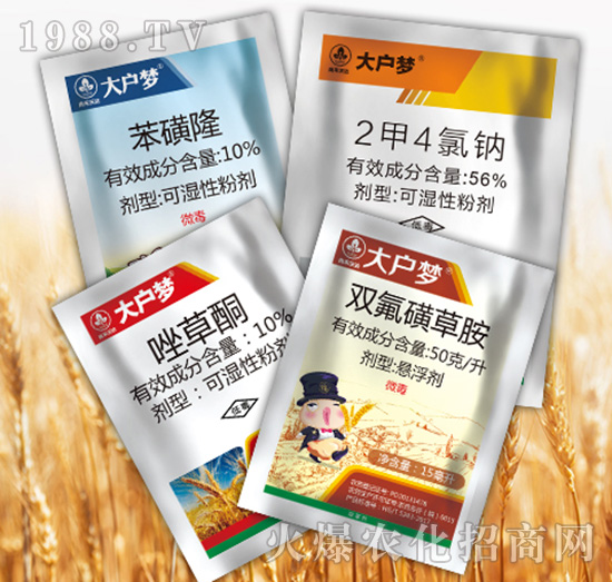 ����(m��ng)4�M��-�к����_(d��)