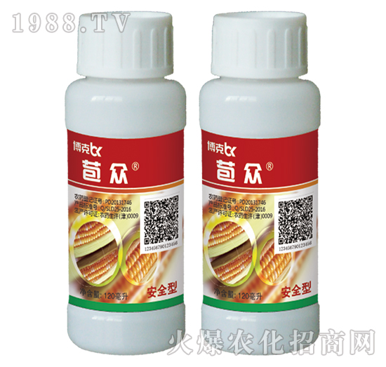 24%���ס�ݬȥ��-����-���˰ل�