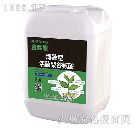 �����ͻ���۹Ȱ���-��Ĭ̩