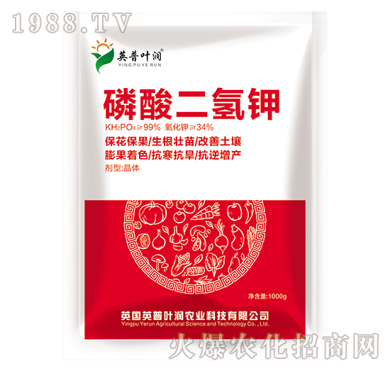 ��������-Ӣ���~��(r��n)