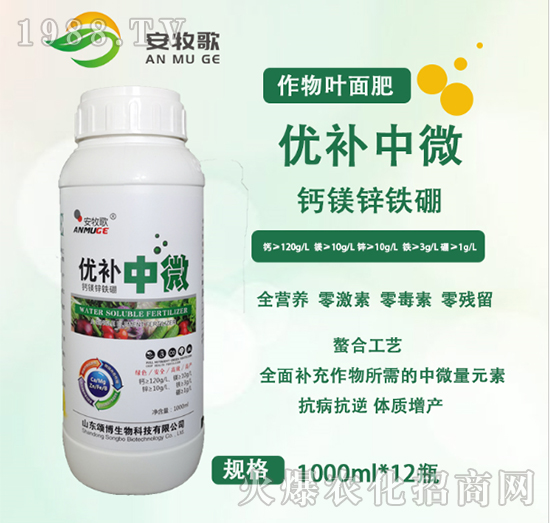 ��(y��u)�a��΢-ힲ�����