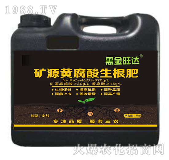 �VԴ�S����������-�ڽ����_(d��)-��(f��)������