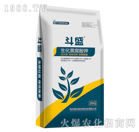 �����S�����-��ʢ-�����S