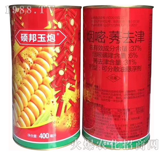 37%���ס�ݬȥ��-�T������-�P������