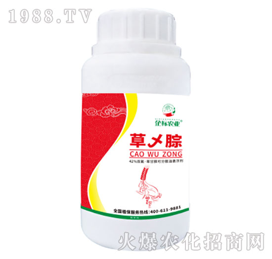 �݁W��-���