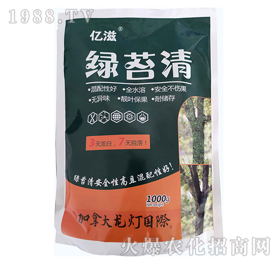 綠苔清-億滋-龍燈