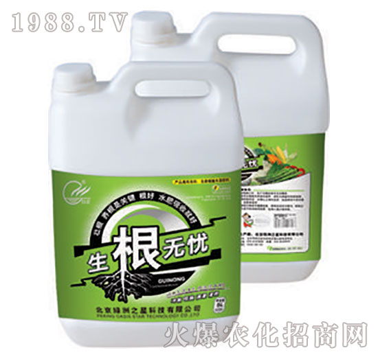 �����o�n-�G��֮��