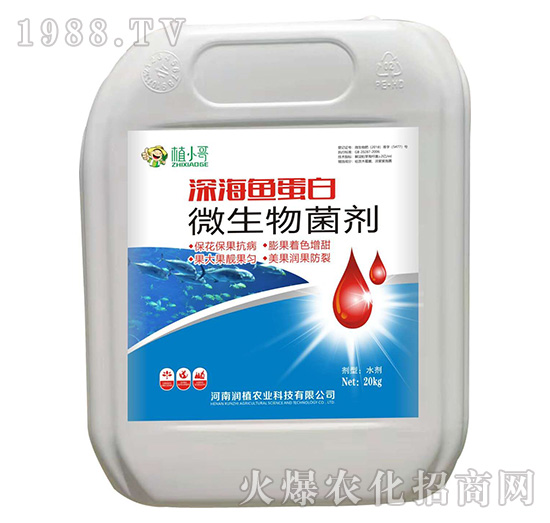 ΢�������-��~����-��ֲ