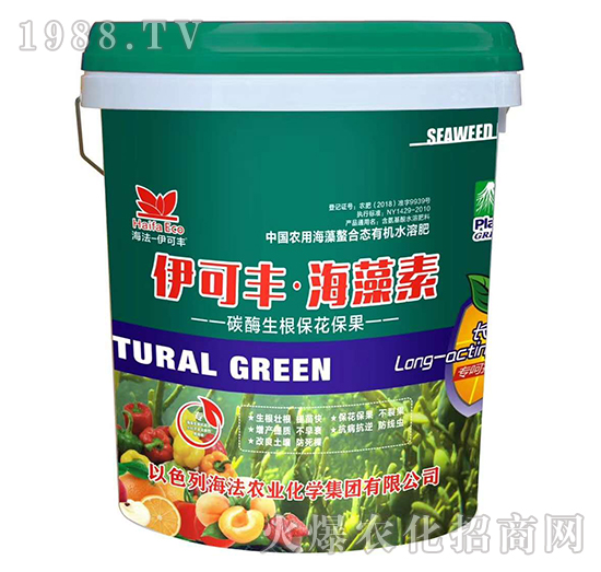 ̼ø������������-�����S��������-����