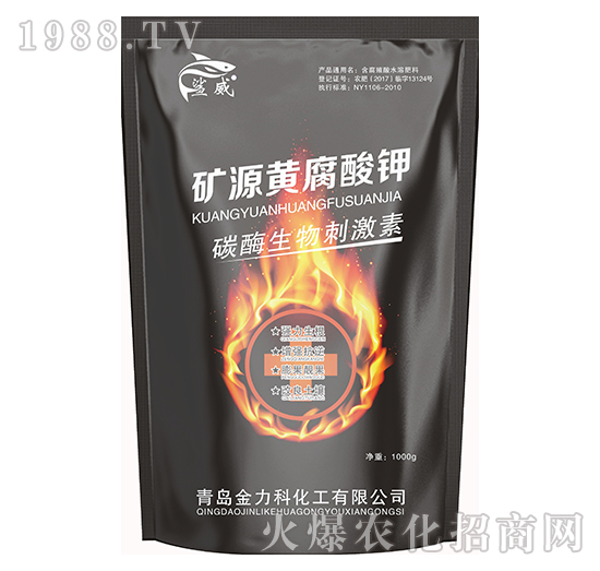 ̼ø����̼���-�VԴ�S�����-����