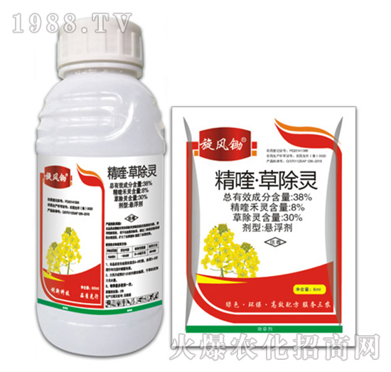 38%��ୡ��ݳ��`-���L�z-�ݵ�˹