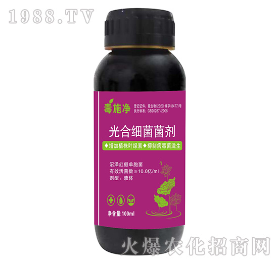 ��ϼ�������-��ʩ��-����