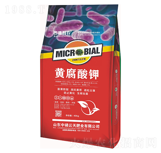 �S�����-�͵����r(n��ng)-��������