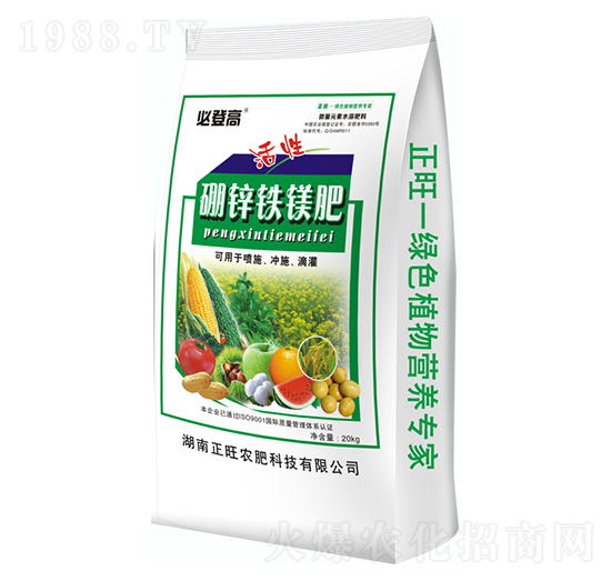 �������\�F�V��-�صǸ�-�����r��