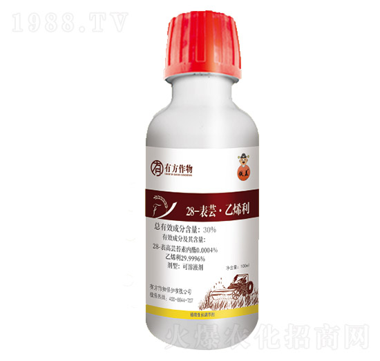 28-�����|̦�؃�(n��i)��-�з�����-�з�����