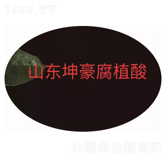 �S�����\ ����