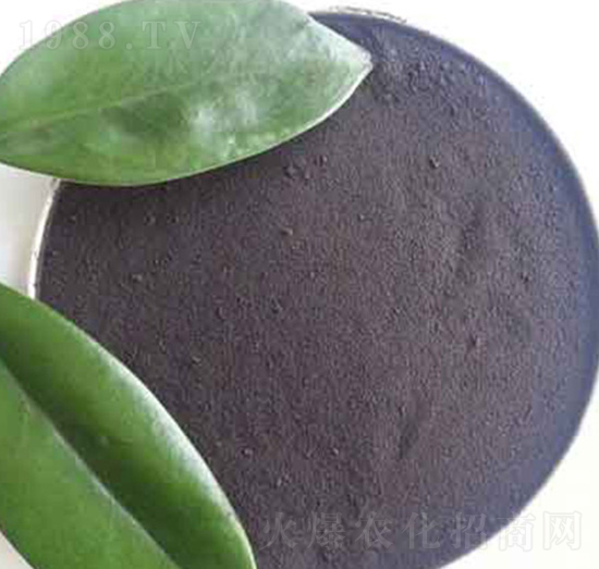 ��ֲ��-�x�S����