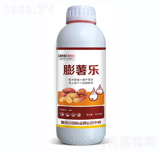 �������������a(ch��n)����-���혷-�_˼ķ