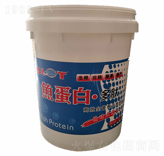 �~(y��)���׶���-������