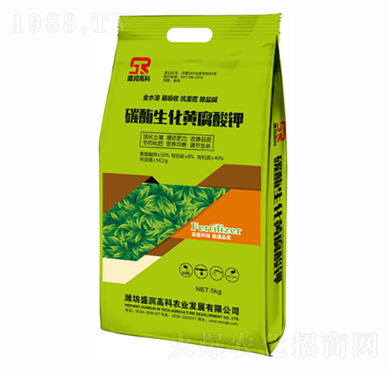 ̼ø�����S�����-ʢ���߿�