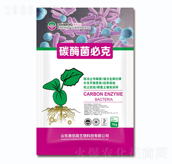 ̼ø���ؿ�-ʩ�۸�