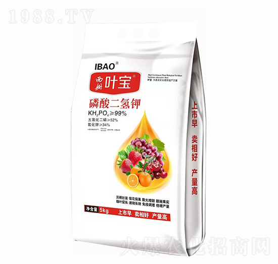 ��������-���~ֲ��