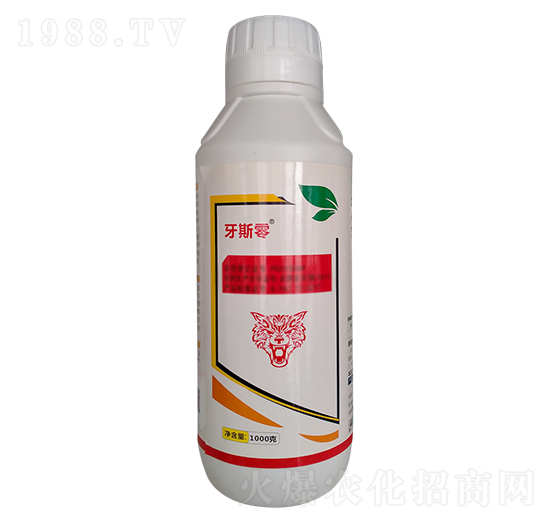 20%�������x��-��˹��-�|�r�߿�