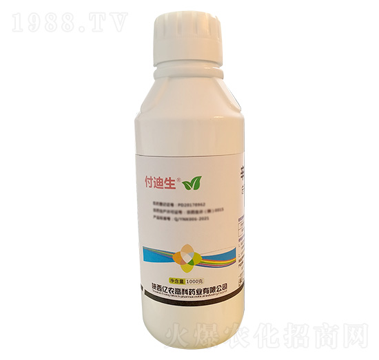 1000g�����������}-������-�|�r�߿�