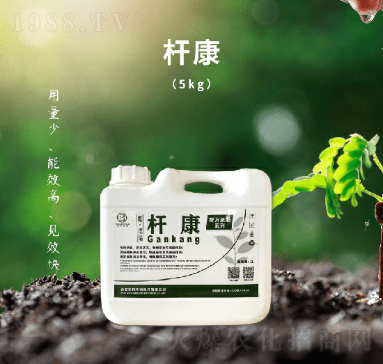 �U��-��������