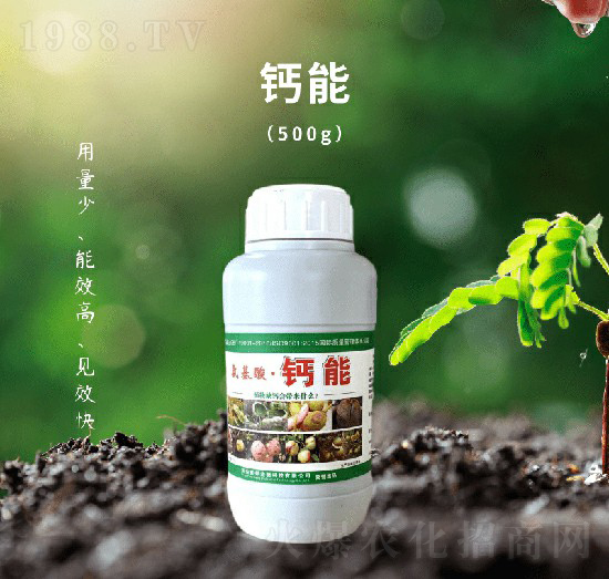 �������}��-��������