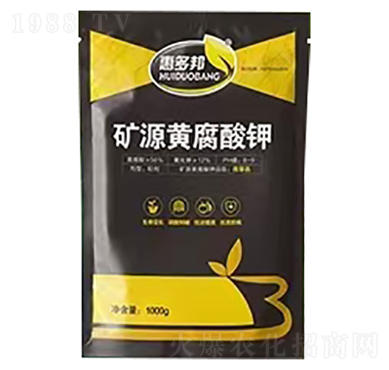 �VԴ�S�����-�ݶ��