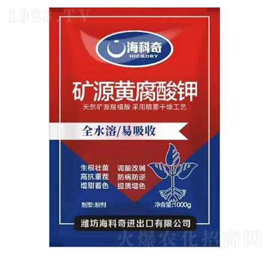 �VԴ�S�����-������